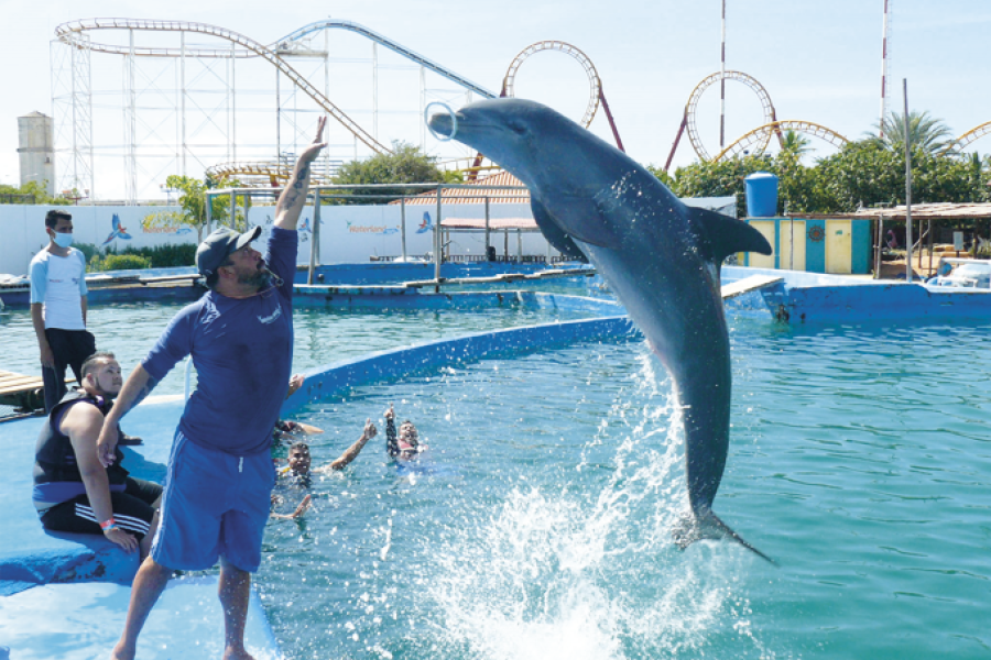 Waterland Mundo Marino